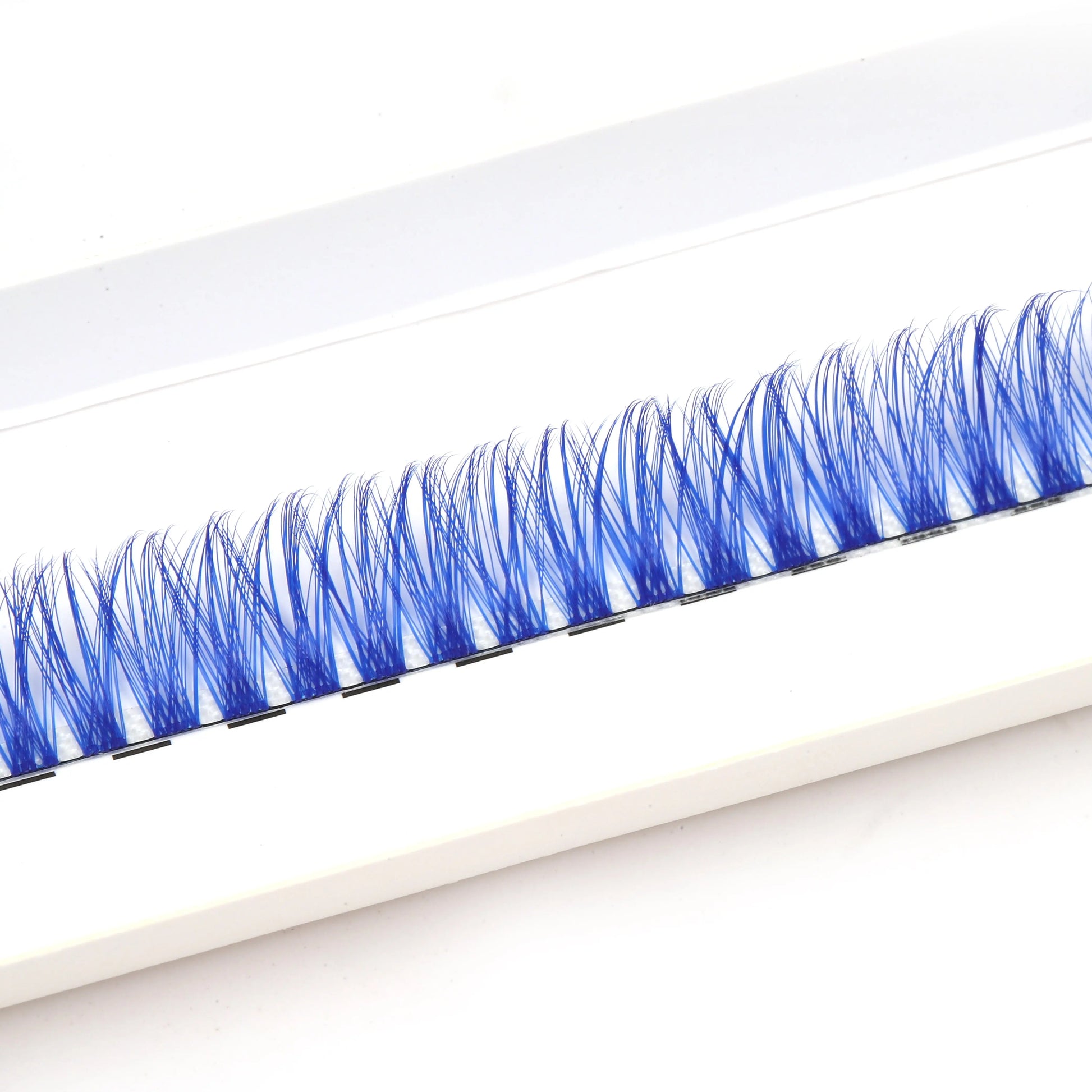 blue colored lash clusters